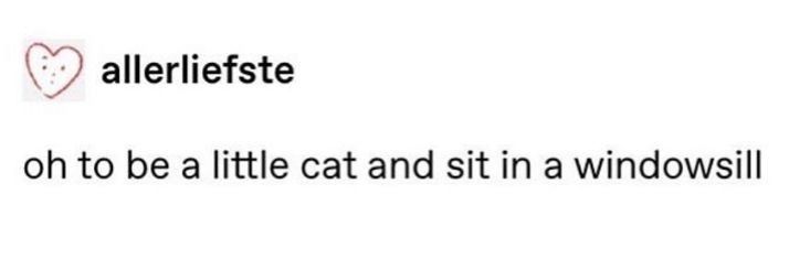 eyA /ᐠ - ˕-マ｡˚ᶻ 𝗓 tweet media