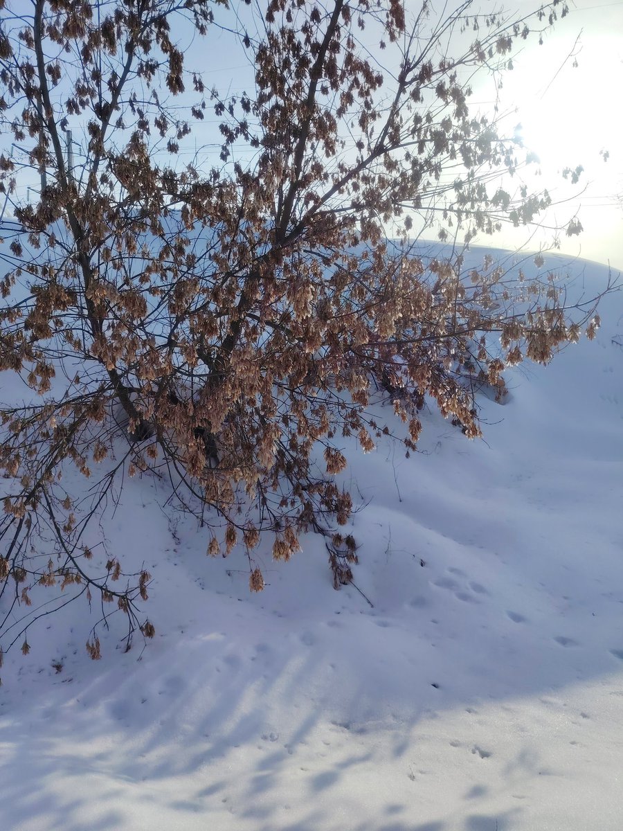 👁👄👁~Don Sangtae Quixote~👁👄👁 tweet media