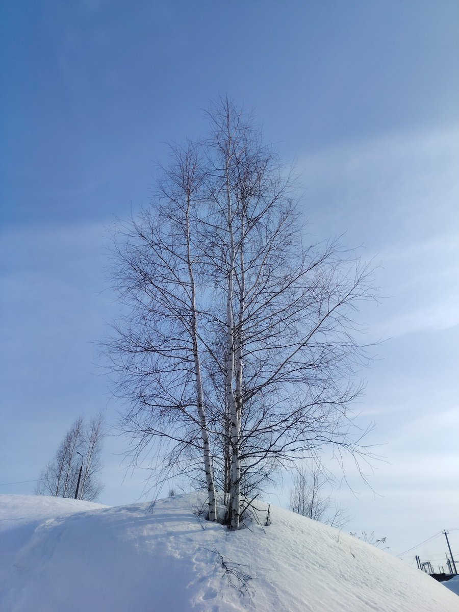 👁👄👁~Don Sangtae Quixote~👁👄👁 tweet media