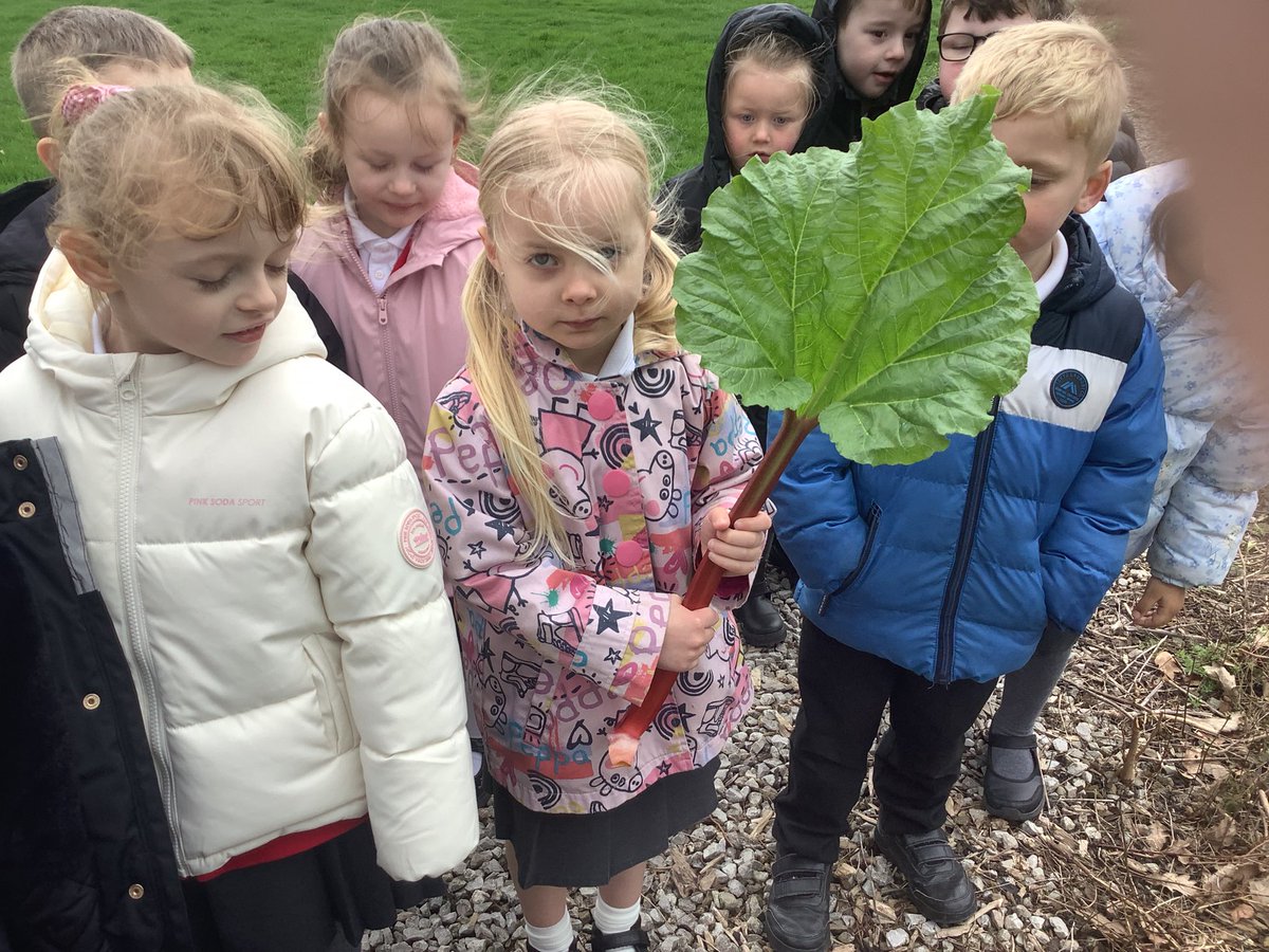 HasReception's tweet image. We went on a spring walk and found lots of signs of new life for #Britishscienceweek2026 🪴💐

#bsw2026