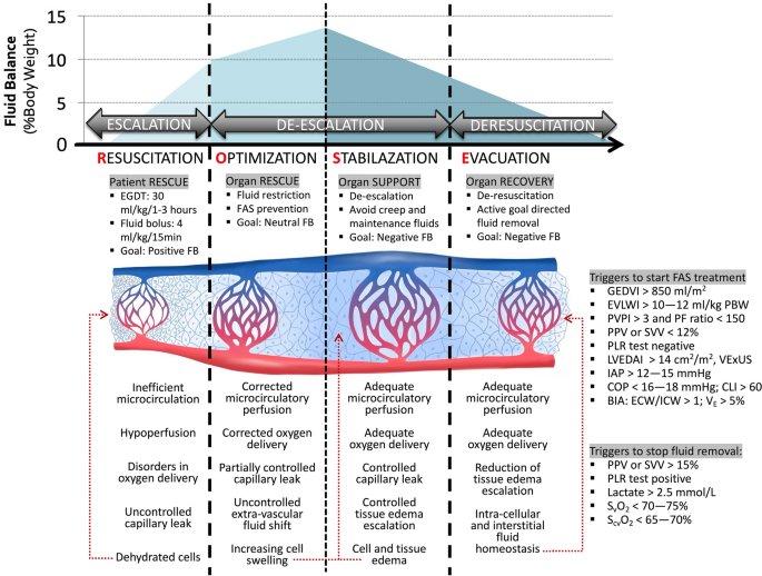 Dr sthanu subramanian tweet media