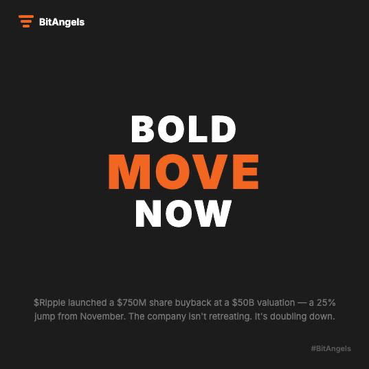 BitAngels tweet media