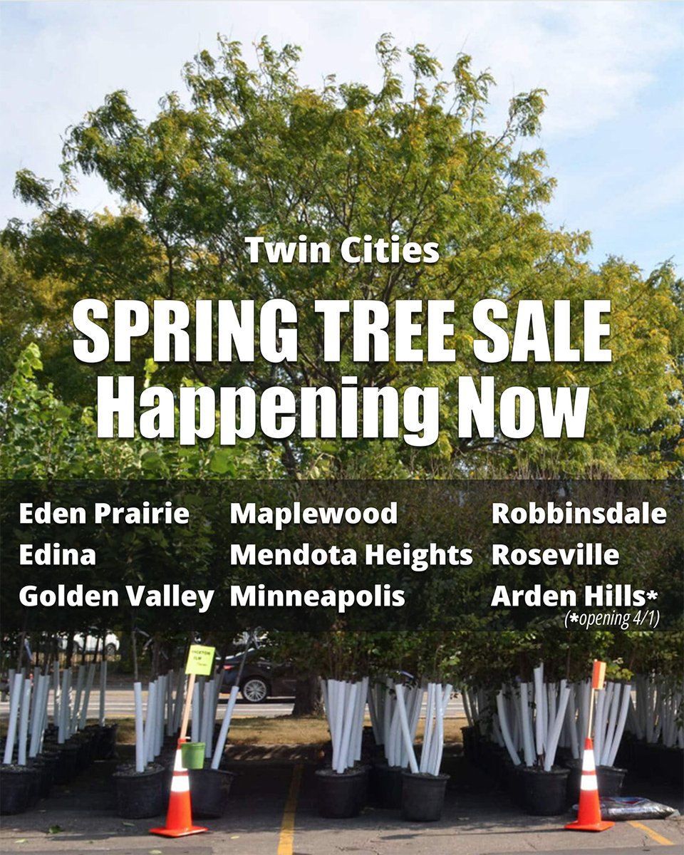 Tree Trust tweet media