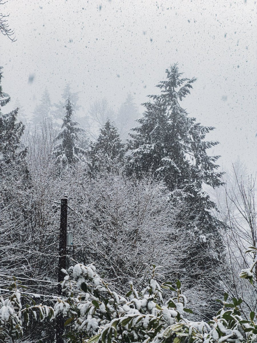 Jared Davidson tweet media