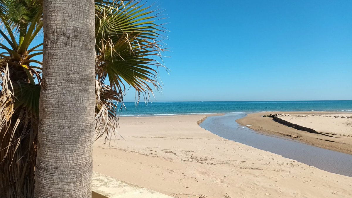 LlorensSegarra's tweet photo. Bona vesprada des de la Platja de Miramar.(La Safor) València. https://t.co/6QaCTduu2r