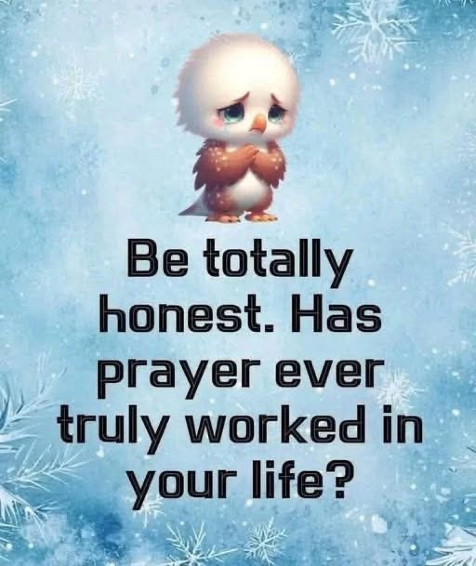 Honey 🛼 tweet media