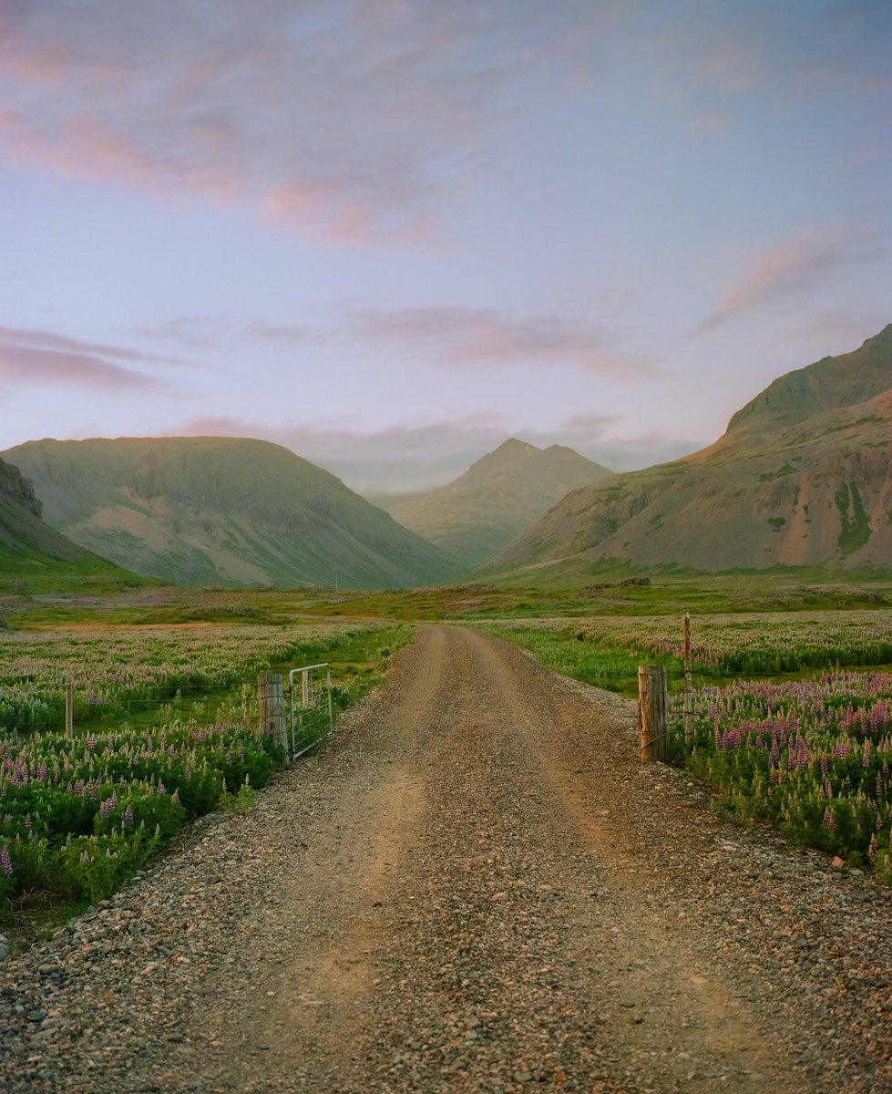 AlexKittoe's tweet photo. Iceland on 120 film 🎞️ https://t.co/LrrLrxEgqX