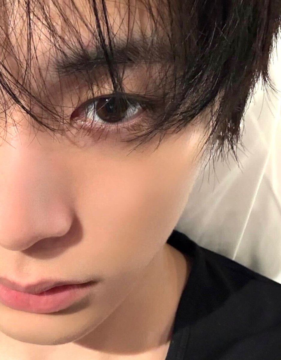 cat10nlyts's tweet photo. 보들보들하게 만지고싶게생김...
그리고 갈색눈동자는 언제나 좋움 💕💕💕 https://t.co/x4CdCEp8y1