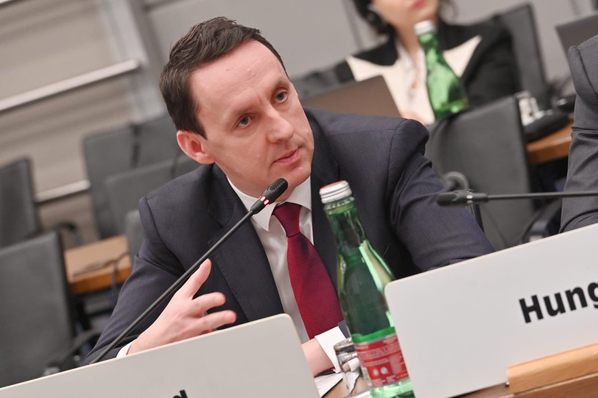 Permanent Mission of Ireland to the OSCE tweet media