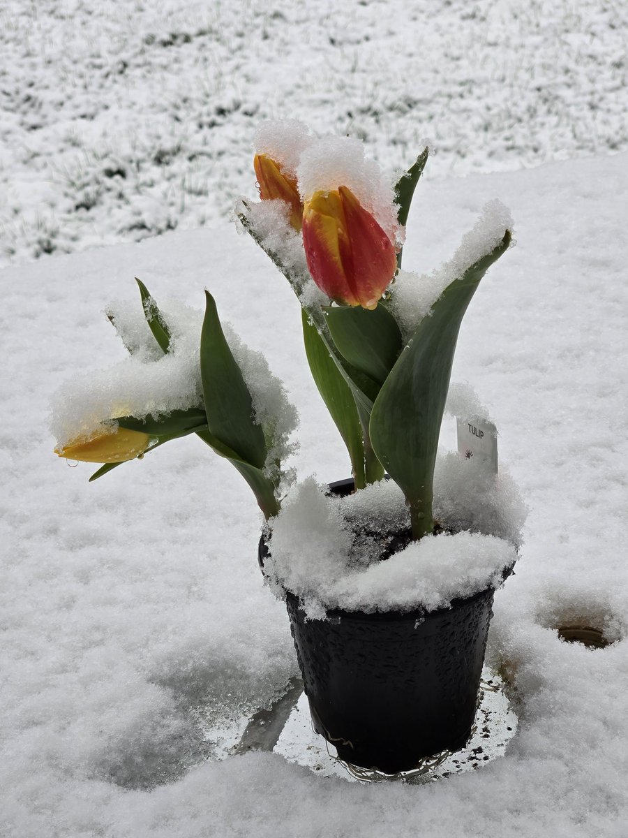 Rain Girl 🐝 (@raingirlsea) on Twitter photo 