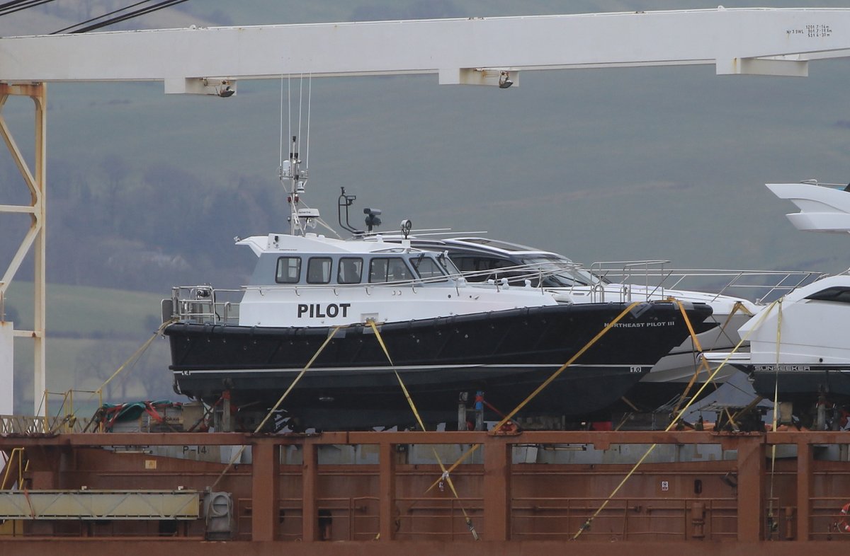 Iain Cameron tweet media