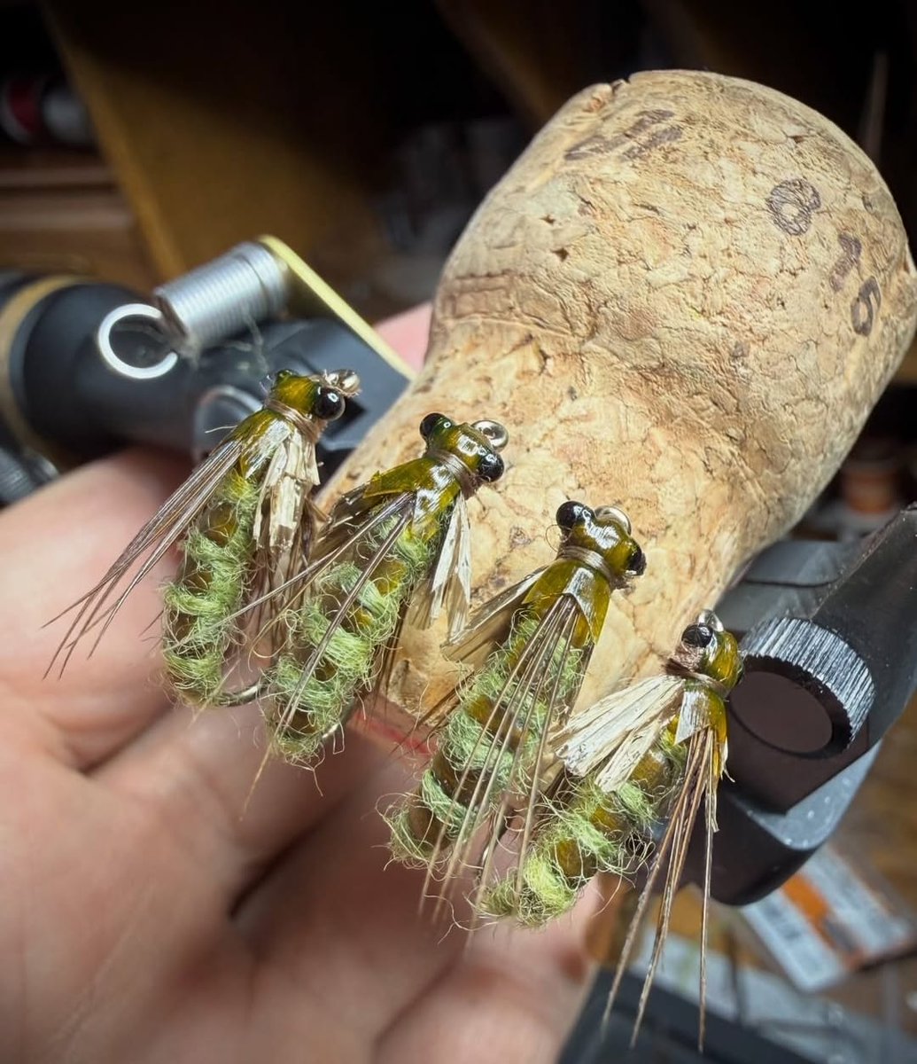 Semperfli Fly Tying tweet media