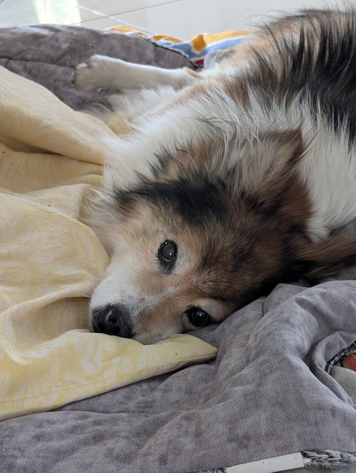 X4nDr3|_La tweet media