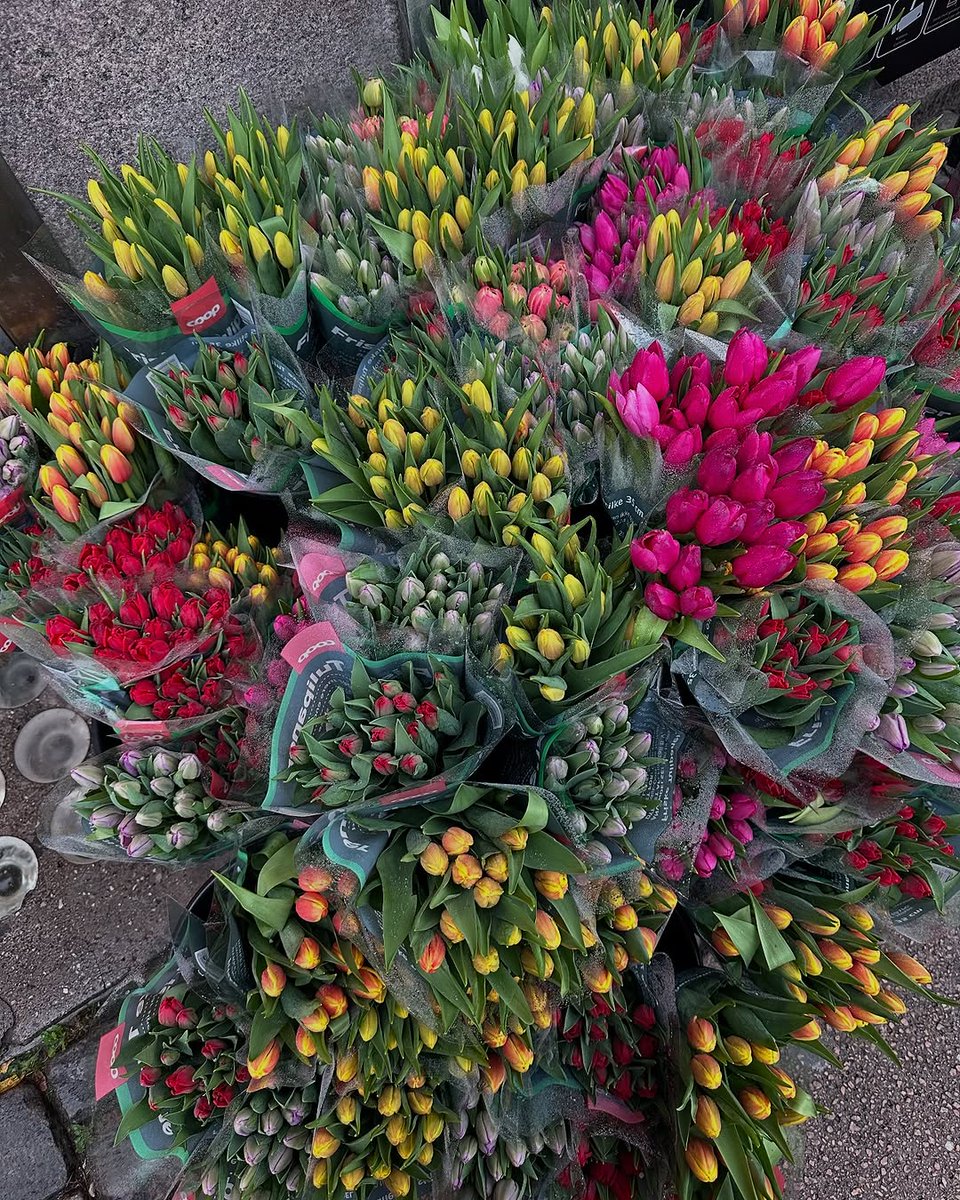 Mina taylor tweet media