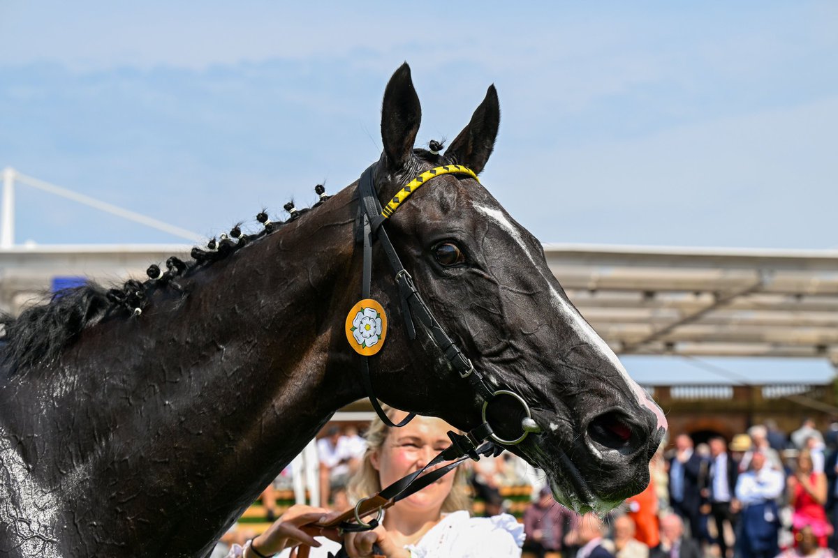 StablesideYork tweet media