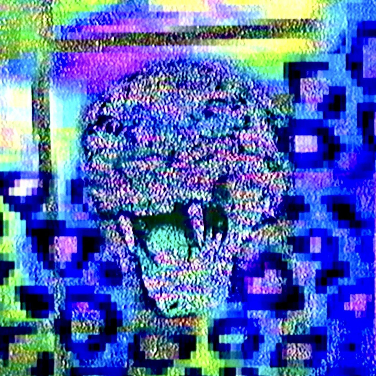 Business Casual tweet media