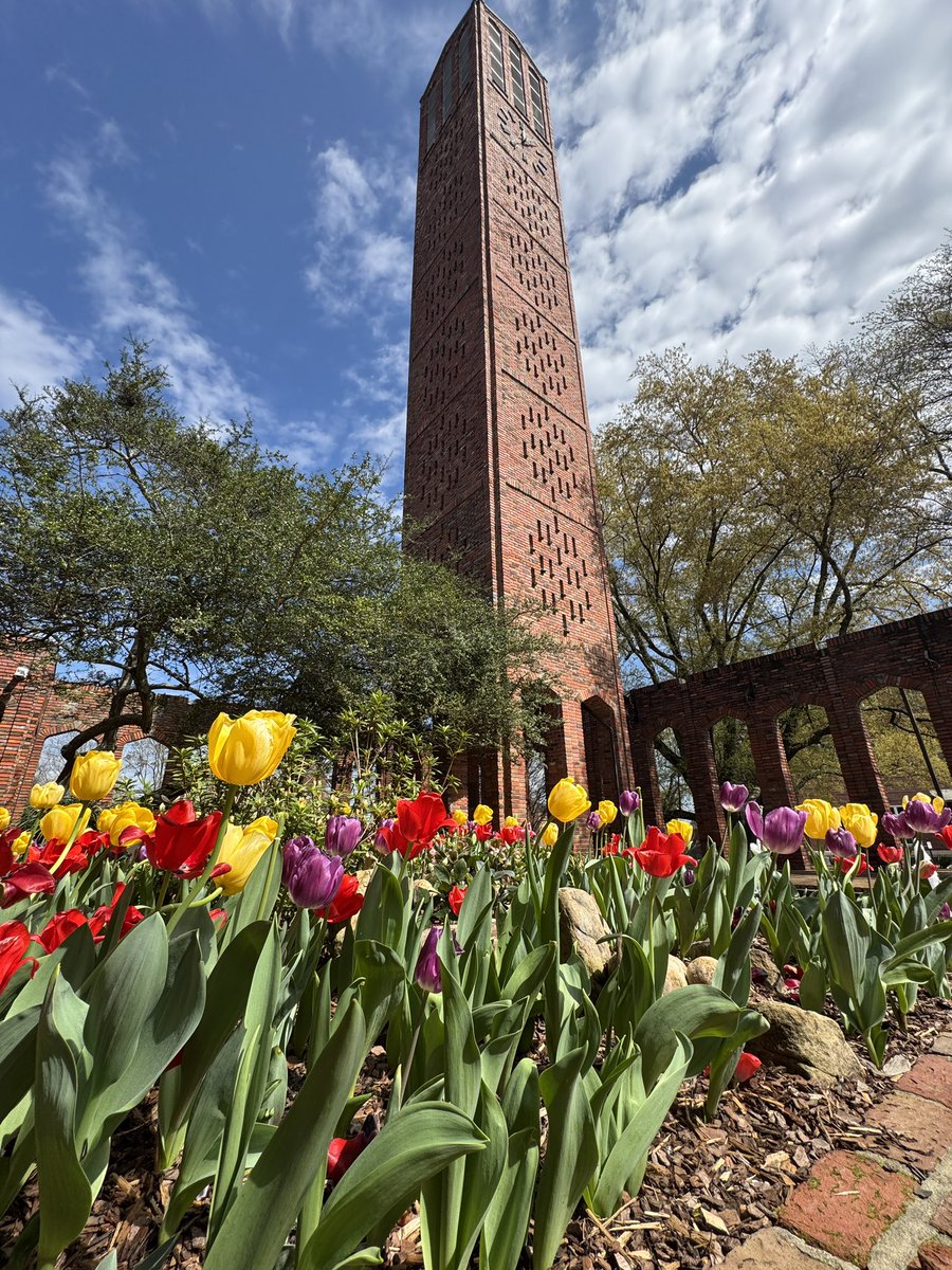 MSU Foundation tweet media