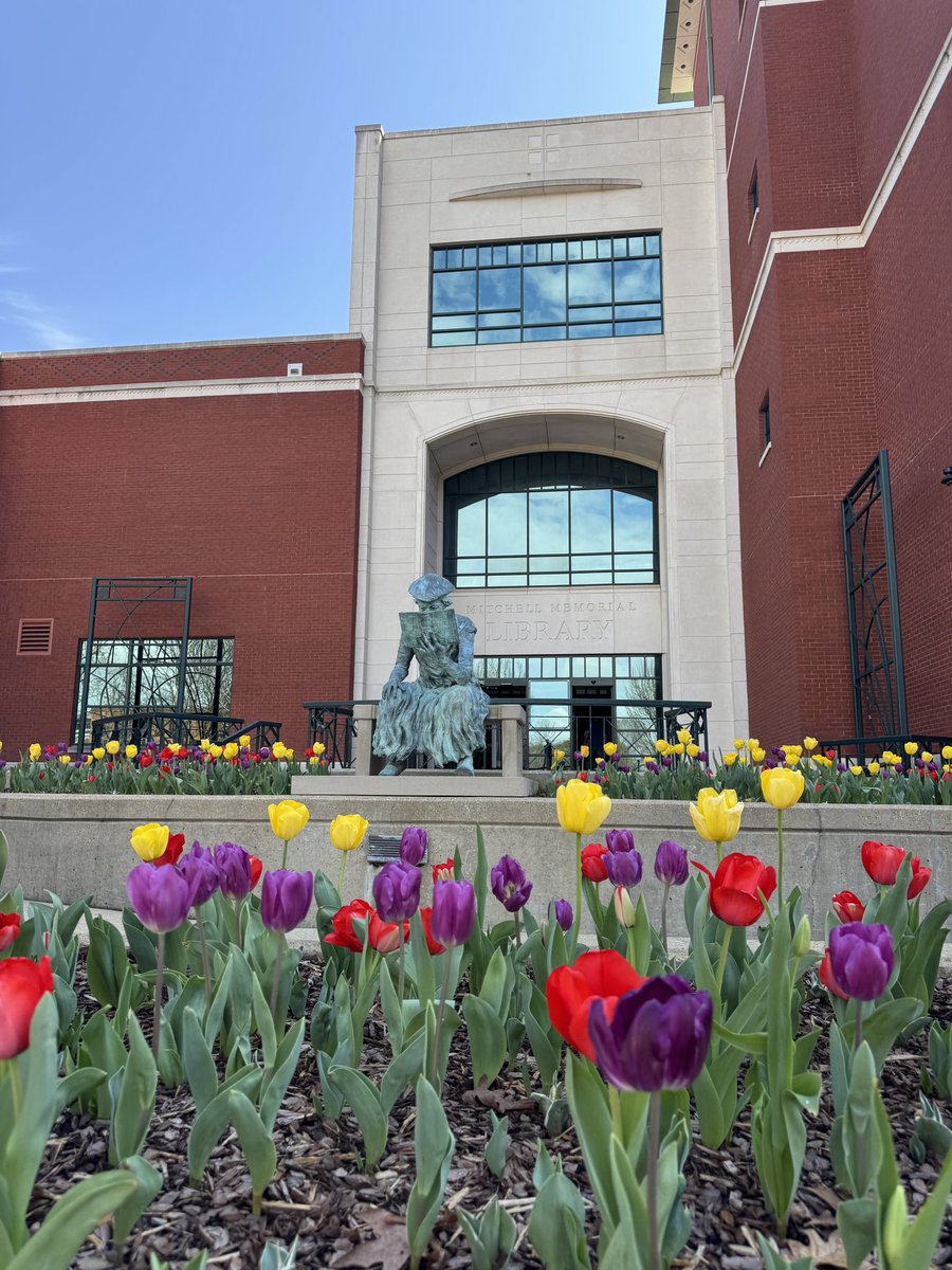 MSU Foundation tweet media