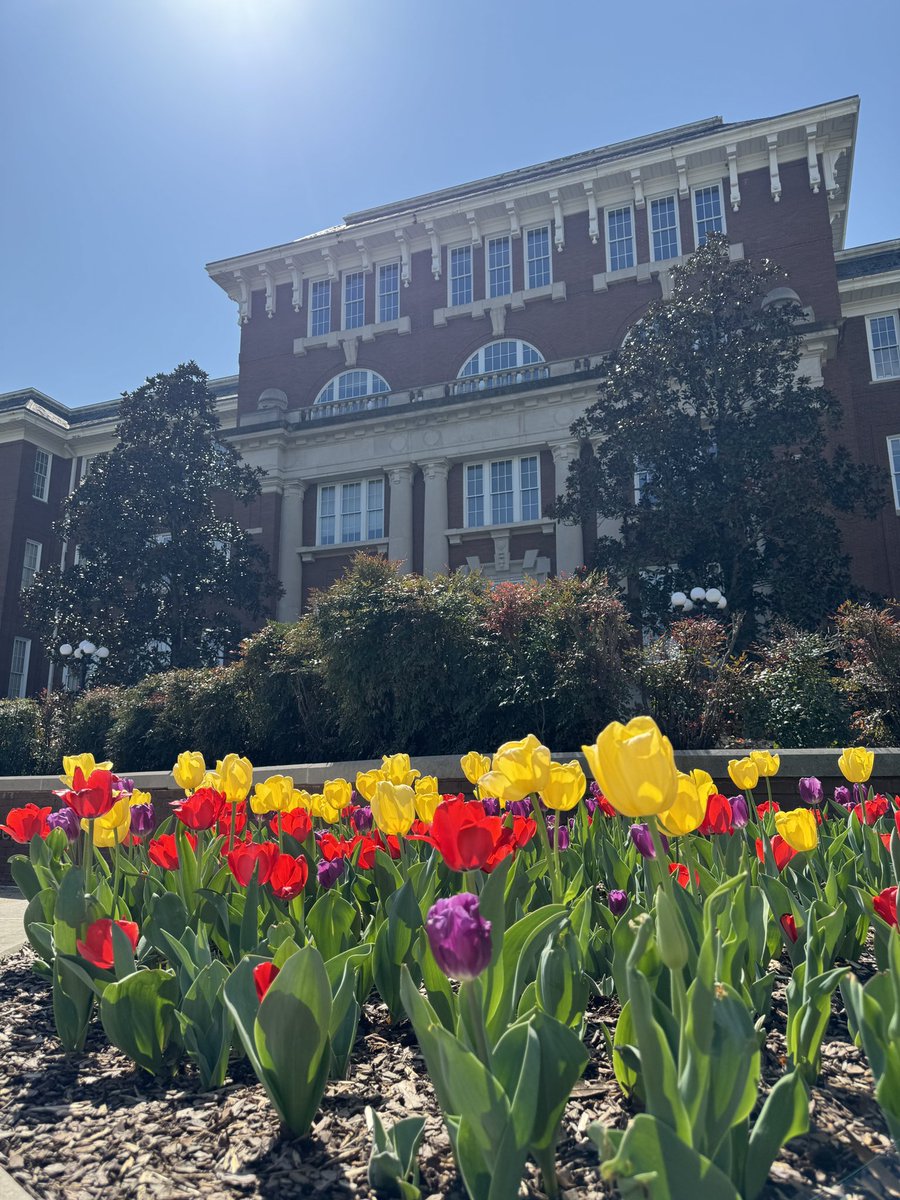 MSU Foundation tweet media