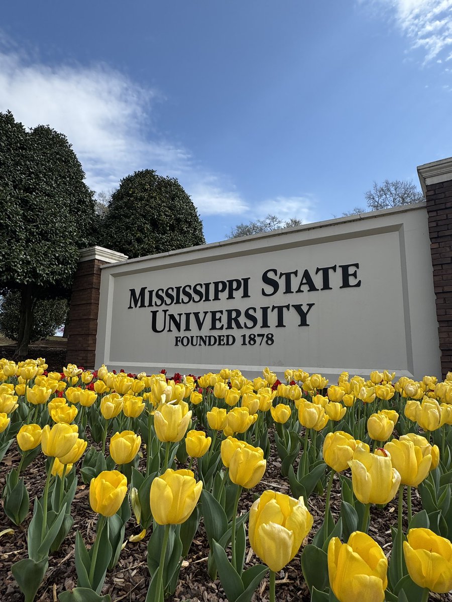 MSU Foundation tweet media