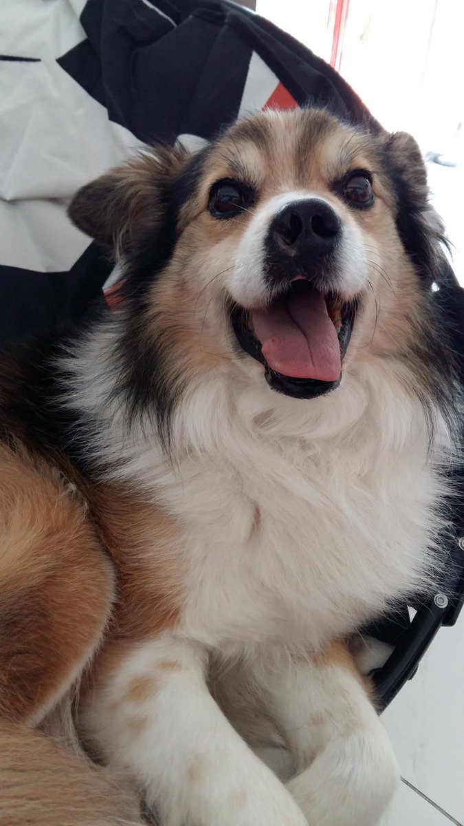 X4nDr3|_La tweet media