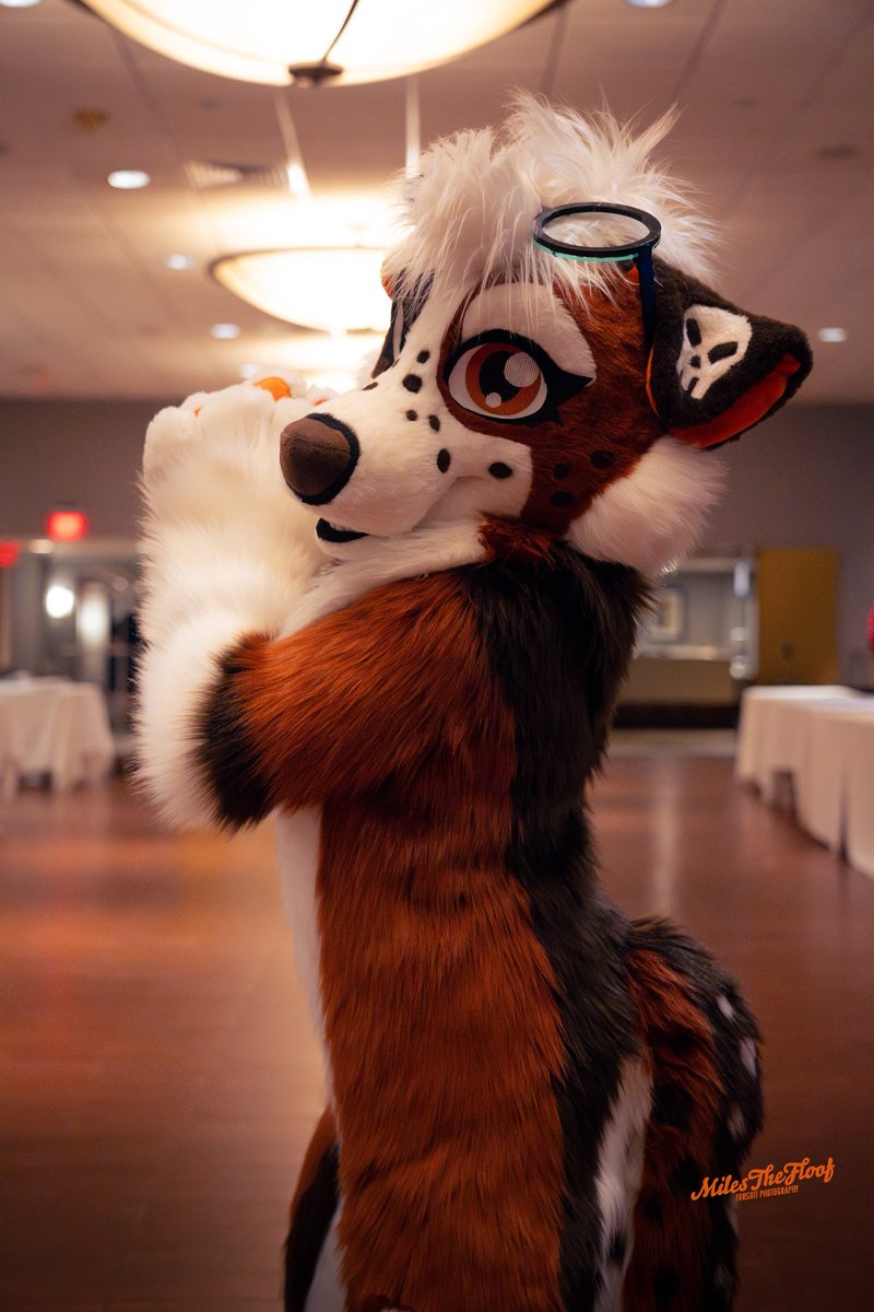 Reece 🧡 tweet media