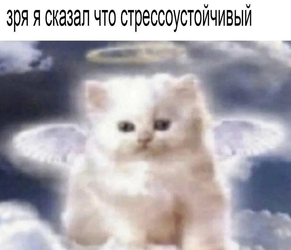 топ 3 бесполезных вещи из резюме, которые пишут для галочки:

1. стрессоустойчивость

продолжайте в реплаях