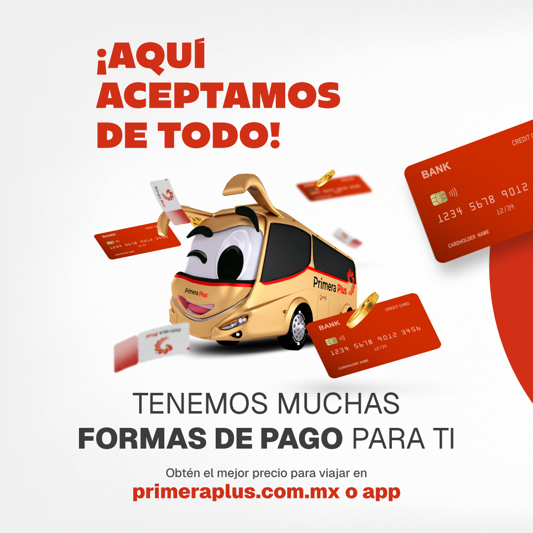 Primera_Plus's tweet photo. Viajar debería ser fácil desde el inicio. 🚌
Elige cómo pagar y termina tu compra en segundos.
Compra tu boleto hoy en app o en https://t.co/g6ZWIGQ5tU
#ViajaPorMexico #ViajarEsVivir #CompraEnLinea #Escapada https://t.co/VKdyoNVAy9