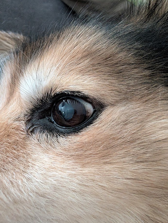 X4nDr3|_La tweet media