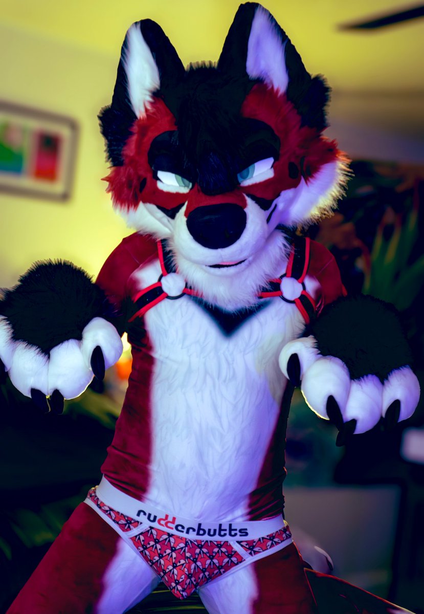 tavi🔜LVFC tweet media