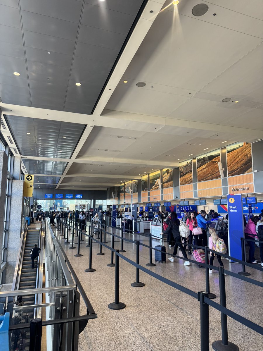 Ava Brendgord KXAN tweet media