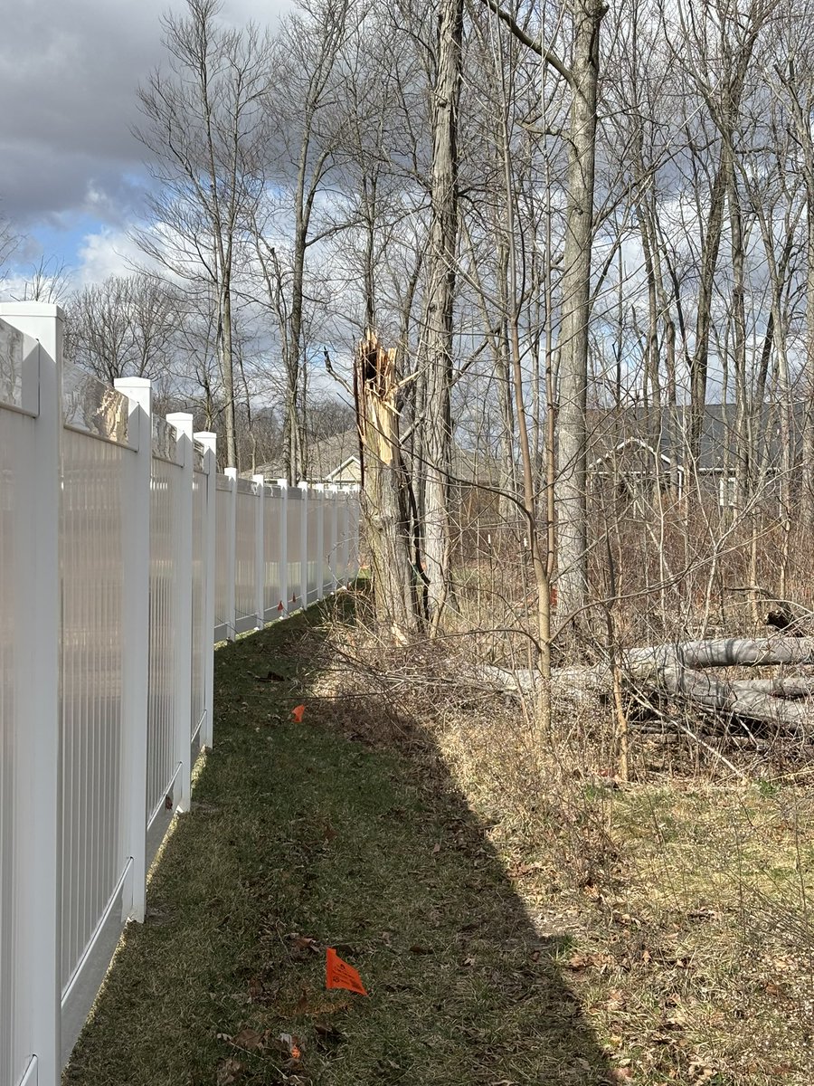 ash_moss16's tweet photo. @wanewx @nicholasweather @NWSIWX wind just snapped one of our trees. Huntertown, IN 11:50am 3/13/25 https://t.co/tqdjLgkTG2