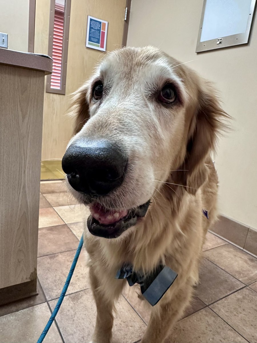 Jennifer Wagner Chartier tweet media