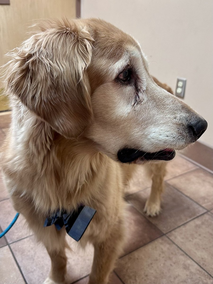 Jennifer Wagner Chartier tweet media