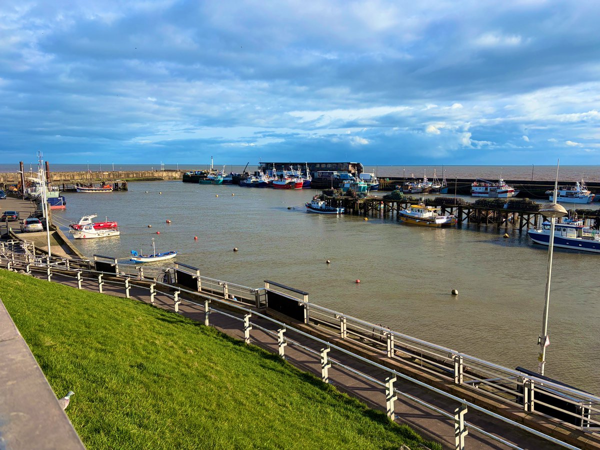 Scott Harris tweet media