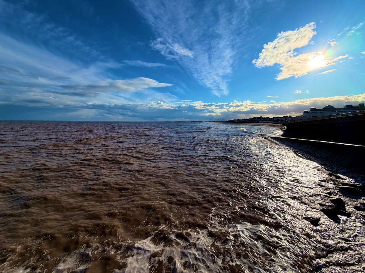 Scott Harris tweet media