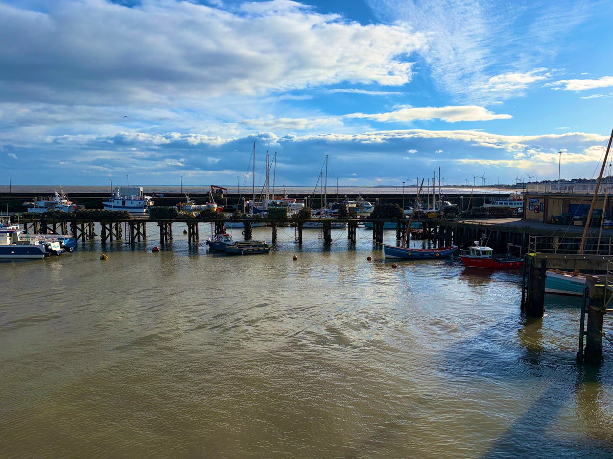 Scott Harris tweet media