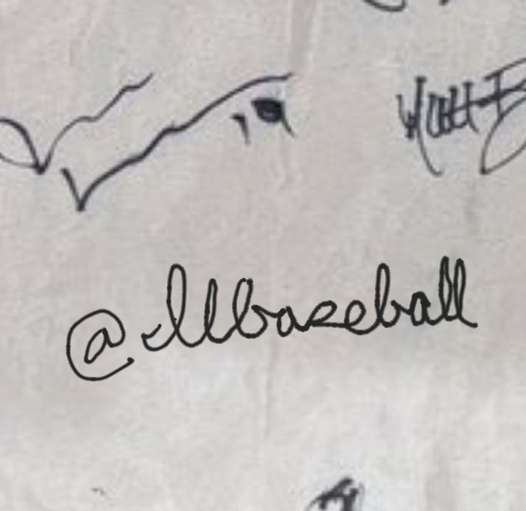 Israel Baseball 🇮🇱⚾️ tweet media