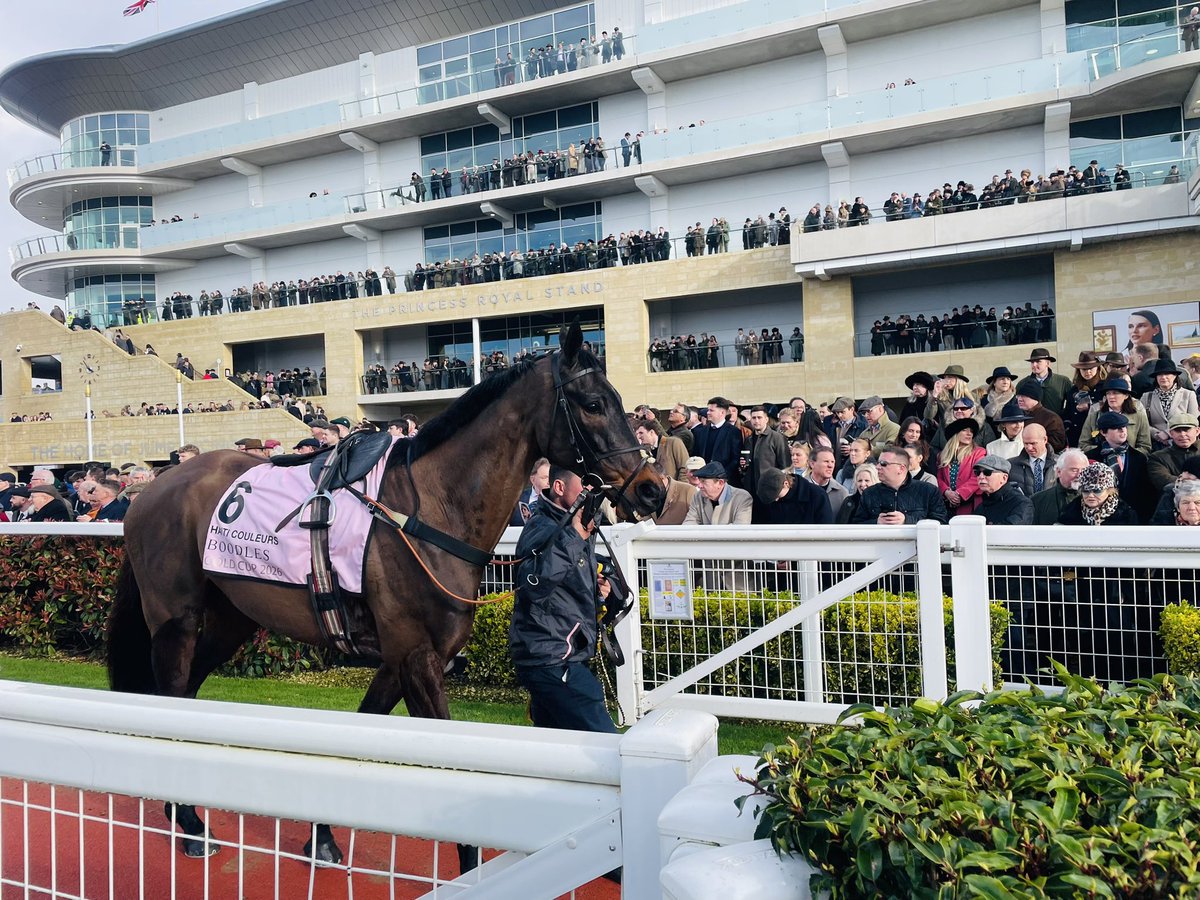 Melissa Jones tweet media