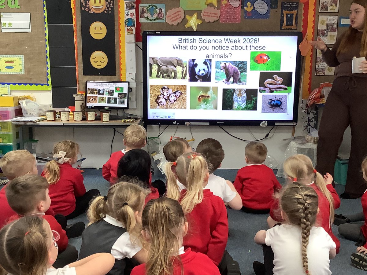 HasReception's tweet image. For British Science Week, we have been discussing types of animals. We talked to our friends about our favourite animals and what are the similarities and differences between the animals! 🐞🐻🐯🐷🐛🐍🐼🐘

#Britishscienceweek2026 #BSW