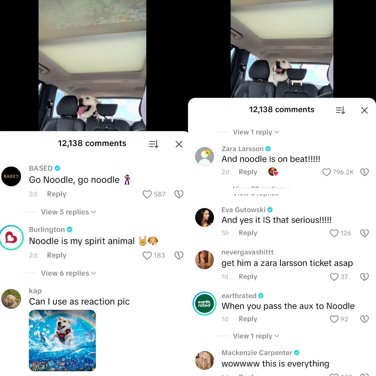 PAMDY 🧠 | Early Memecoin Patterns tweet media