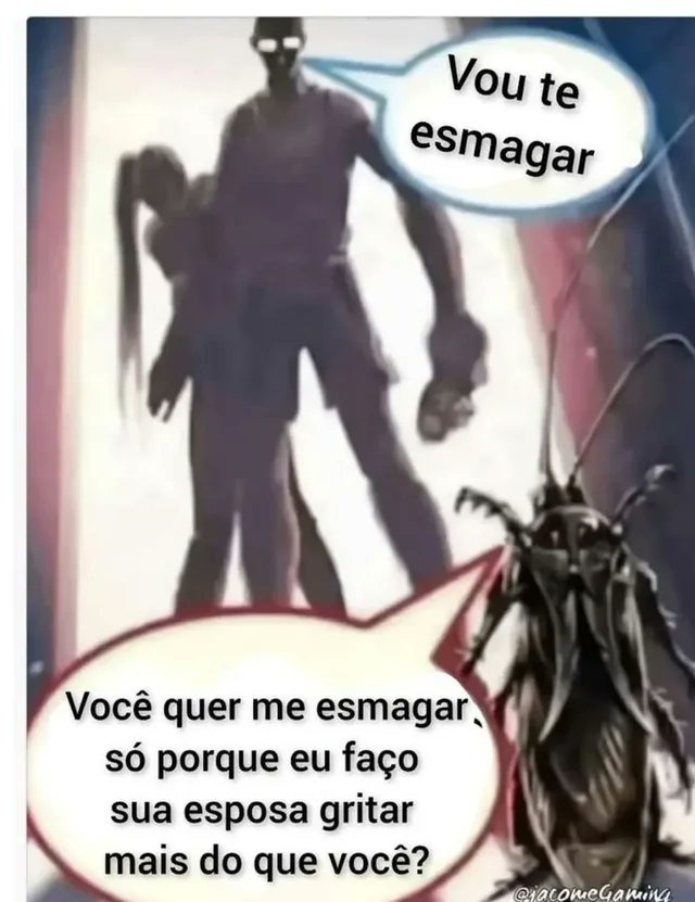 Página Séria. tweet media