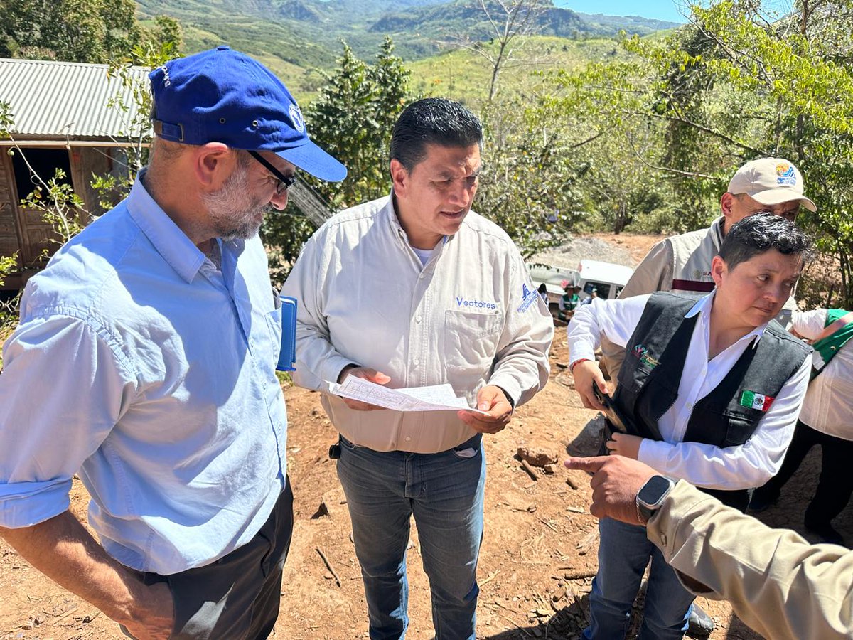 OPS/OMS México tweet media