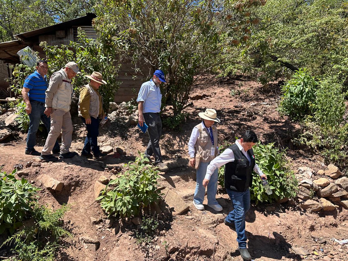 OPS/OMS México tweet media