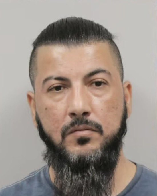 Michelle GCR tweet media