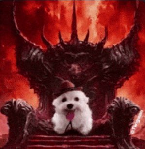 foxtsumu's tweet photo. ohmygod https://t.co/KtDl7jv4N3