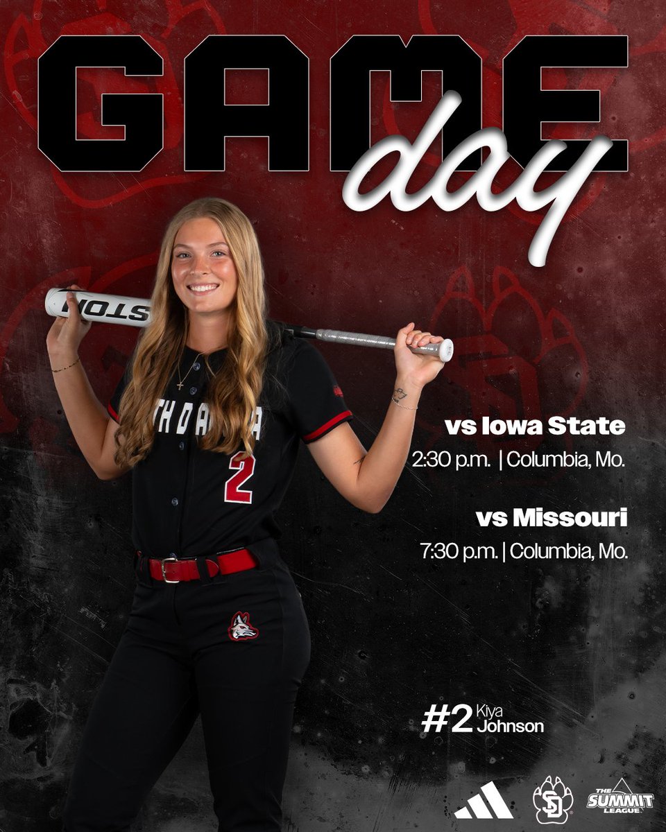 South Dakota Softball tweet media