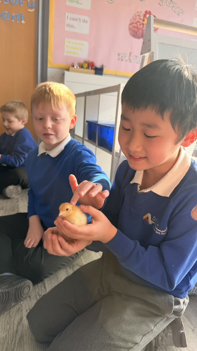 CravenPrimaryAcademy tweet media