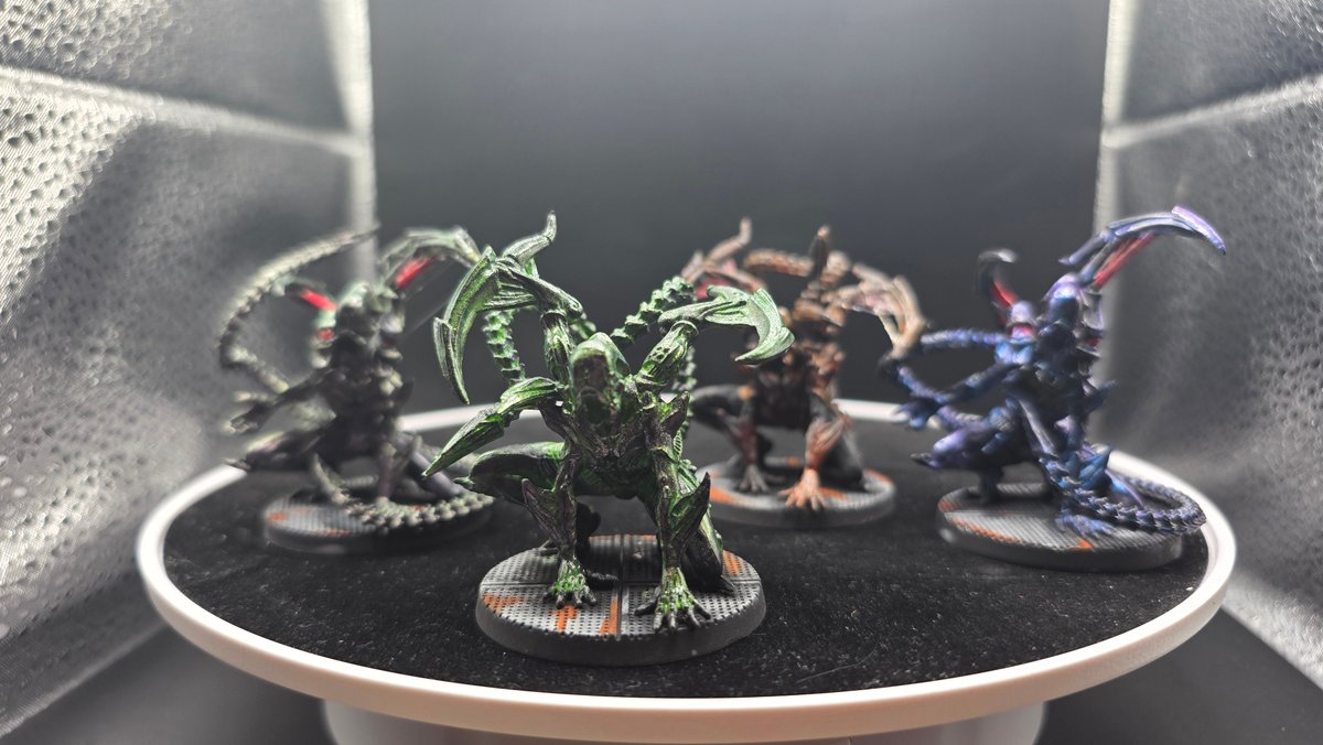 RNox Studios tweet media