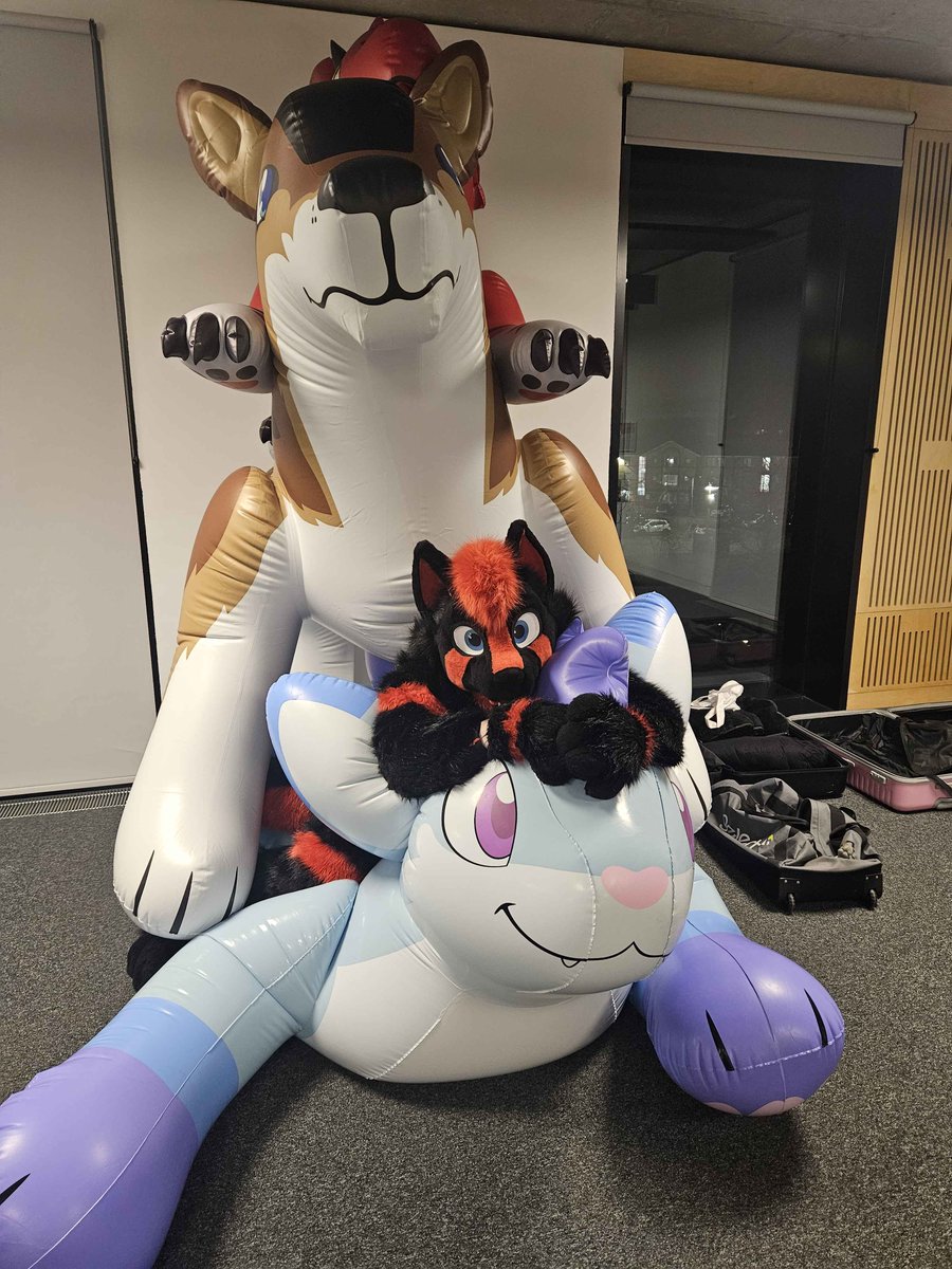 Rinz / Prisma 🔜 Confuzzled 2026 tweet media